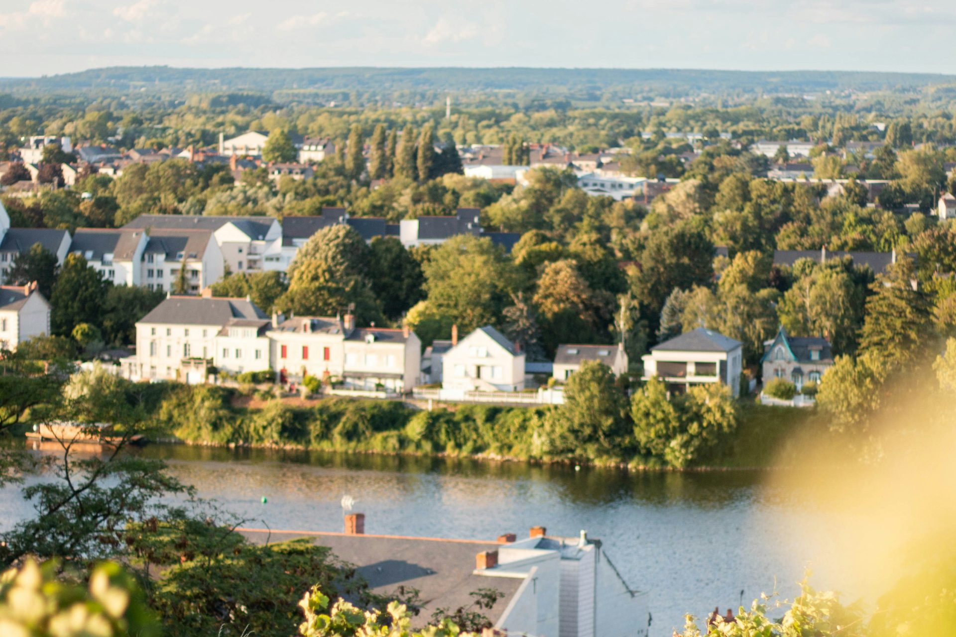 veuve amiot blog vignoble 2